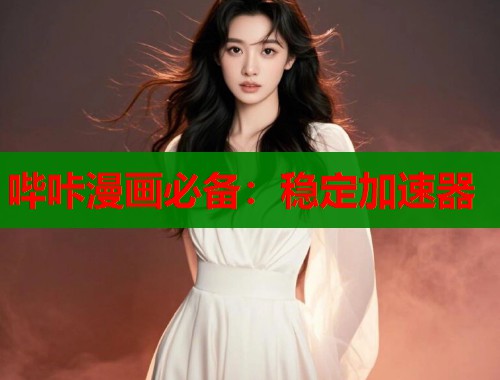 哔咔漫画必备：稳定加速器  第1张
