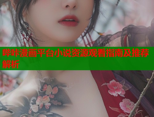 哔咔漫画平台小说资源观看指南及推荐解析  第1张